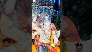 Valnai cha Raja🙏