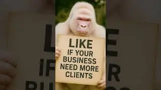 Struggling to get consistent leads in Niagara?