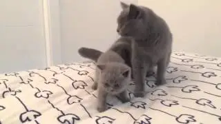 dolcezza di una mamma