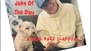 (Joke of the Day) January 14, 2026