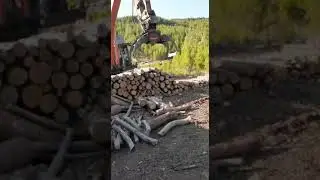 Timber Grapple Excavator Attachments Handling And Compact Attachments Tomruk Ataşmanı