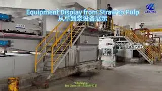 Pulp Equipment Display from Straw to Pulp#madeinchina #manufacturer #importexportchina #machine 