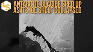 Antarctic Glacier Sped Up As Its Ice Shelf Collapsed