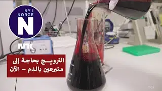 Norge mangler blodgivere    النرويج تعاني من نقص في المتبرعين بالدم