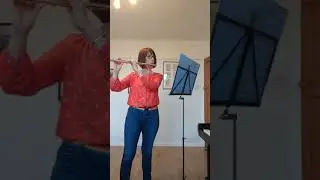 Toccata from Toccata & Fugue in D minor, J S Bach transcribed by Patrice Fouillaud