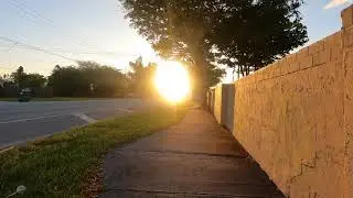 OLD CUTLER RD Bike Trail ,Miami Florida