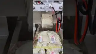 Automatic Granule Pouch Packing Machine | Seeds, Sugar & Snack Bag Packaging