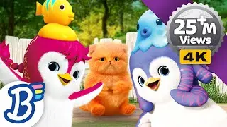 ✨ Get the Pet Wet | Домашние животные, Время для игр, Детские стишки, Песни на букву 