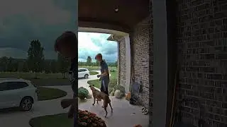 Boy And Brave Dog Check Out Lightning Storm