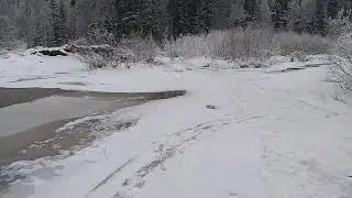 Бирюса брод 2020