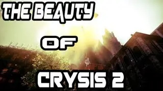 The Beauty of Crysis 2