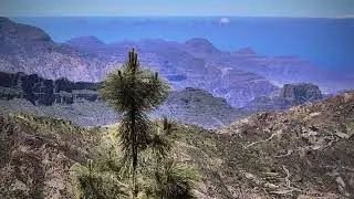 WRC Rally Islas Canarias 2025 part 5 of 14