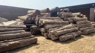 Teak wood Supplier in Sirsa provides high quality teak wood round and rough square logs. 📞9416010839