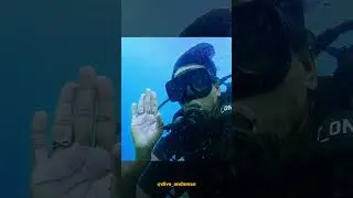 PADI Open Water Diver Course in Andaman Islands | Dive Andaman & @havelockislandbeachresort