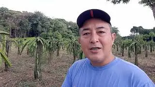 DIA A DIA NO SITIO SAWADA