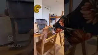 Clean My 1-Bedroom Apartment in Australia With Me!