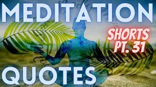 Meditation Quotes | Famous Quotes | Inner Peace | #Shorts pt. 31