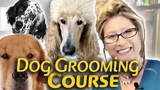 FINALLY  a DOG GROOMING COURSE made for PET OWNERS and BEGINNERS