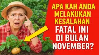 Apakah Anda Melakukan Kesalahan Fatal Ini di Bulan November? Kebun Feng Shui: Rahasia Energi yang a