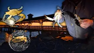 Pier FISHING for Blue CRABS with Ring NETS at Night! | Catch & Cook (Crab Stew)