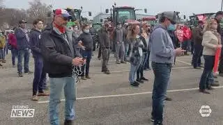 Hundreds of farmers rally to end tight COVID restrictions on migrant workers