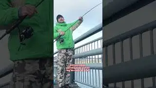 Первая морская щука онаже мольва #norvay #bigfish #норвегия #рекомендации #рыбалка #природа #norway