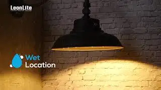 Gooseneck Barn Light
