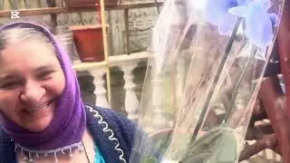 Fane A ieșit la cumpărături cu lămâie ￼