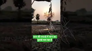 Rohitdev-c3d #sortvideo #motivation #kishan #ki #fasal