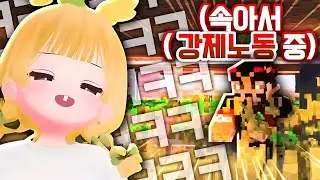 인턴일때가 좋았지.. 막내 관리하기 힘드네요  [로나서버 시즌2 EP.17]