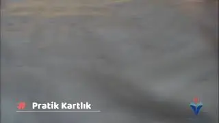 El sanatları