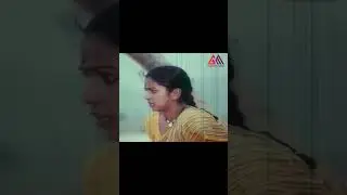 Radhika Superb Action Scene || Telugu Movie Scenes || #GangothriMovies