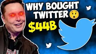 Why Elon Musk Bought Twitter: 10 Unknown Facts About the Billionaire Space CEO
