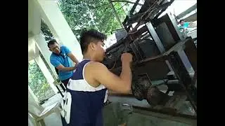 Pomelo  Sorter