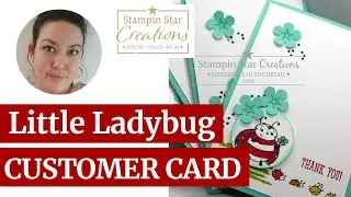 Stampin Up Little ladybug stamp, small bloom punch, thoughtful blooms, customer cards casual crafter