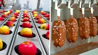 ECCO LA PRODUZIONE DI CIBO NELL'INDUSTRIA