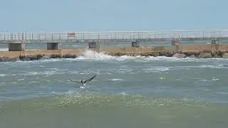 SEBASTIAN INLET II