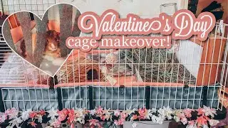 Valentine's Day Guinea Pig Cage Tour! 💕