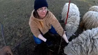 UN FIN DE SEMANA DE PUEBLO EN HUNGRIA