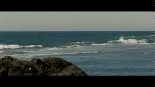 Into The Wild - Not...to 
