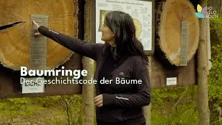 Baumringe – der Geschichtscode der Bäume (DE)