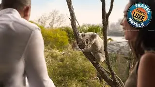 Wildlife Retreat at Taronga | Sydney, Australia | Hotel Review 🏨
