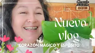 DE VUELTA A CHILO&Eacute;/ ME TRAJE M&Aacute;S PLANTITAS 😂#familiachilena #isladechilo&eacute; #vlogschile #vidasencilla 