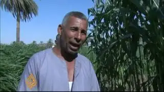 Egypt's farmers facing hardship during crisis