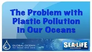 Plastic Pollution Education Session with Sea Life London