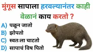 GK | GK Marathi Question | GK Questions In Marathi  | GK Marathi General Knowledge | Current Affairs