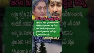 AP Politics, TRUTH EXPOSED, LIFE AT RISK! 🛡️ Savitha On YV Subba Reddy!