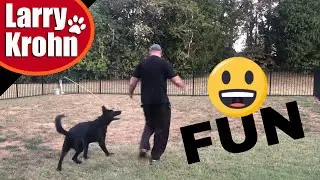 How to wake up a German Shepherd - FUN DOG TRAINING