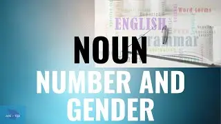 Grammar | Noun Number and Gender