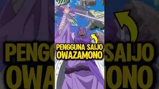 Semua Pemilik Pedang SAIJO OWAZAMONO Yang Sudah Diketahui 🗡️ #onepiece #anime